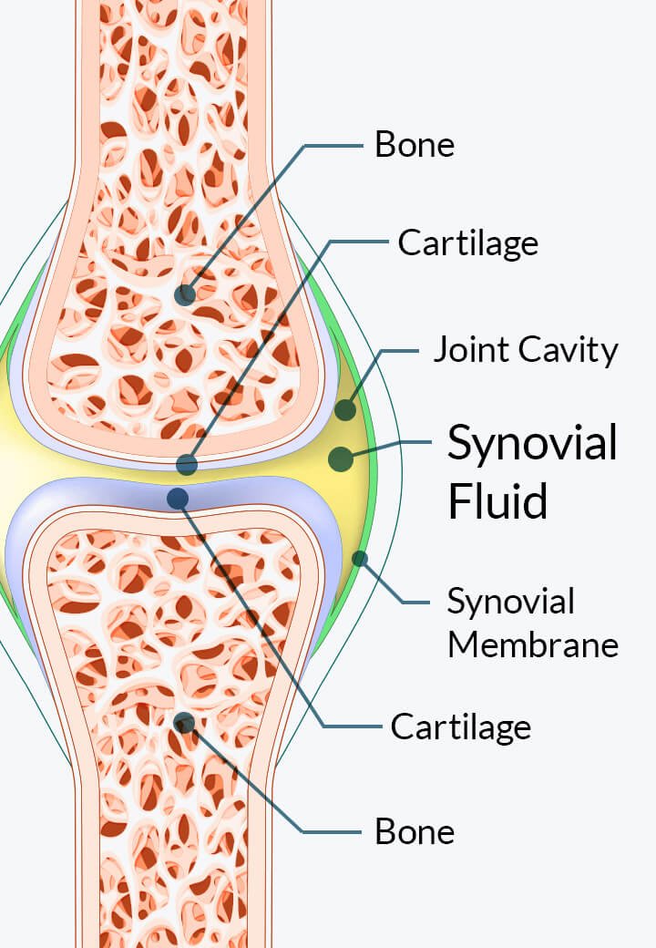 Joint Genesis Clinical Evidence: What Is Studied, What Is Not, and How Strong Is the Case?