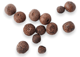 Black pepper BioPerine-related ingredient graphic